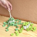 Pothos Car Hanging Plant Crochet Pattern - Flower Basket PDF - Image 10