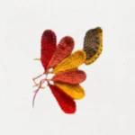 Thanksgiving Turkey Gnome Crochet Pattern - Festive DIY Holiday Decoration PDF Guide for Beginners - Image 4