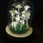 Enchanted Mushroom Lamp DIY Kit - Image 5