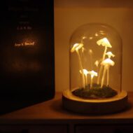 Enchanted Mushroom Lamp DIY Kit - Image 3