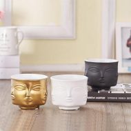 Multi-Face Succulent Planter - Image 11