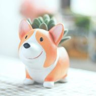 Corgi Succulent Planter - Image 3