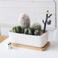 Natural Bamboo Planter Saucer Trays - Image 3