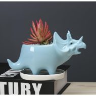 Cute Dinosaur Succulent Planter Pot with Drainage Tray - Image 7