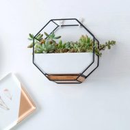 Geometric Ceramic Wall Planter with Octagonal Iron Frame - Image 10