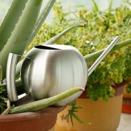 Spherical Gooseneck Stainless Steel Watering Can - Image 18
