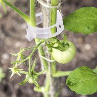 Plant Stalk Support Mounting Clip Set - Image 3