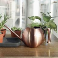 Spherical Gooseneck Stainless Steel Watering Can - Image 2