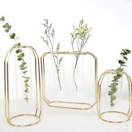 Geometric Floating Iron and Glass Propagation Vase - Image 2