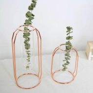 Geometric Floating Iron and Glass Propagation Vase - Image 5