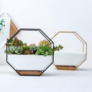 Geometric Ceramic Wall Planter with Octagonal Iron Frame - Image 5