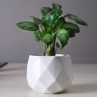 Rounded Diamond Ceramic Succulent Planters - Image 3