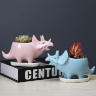 Cute Dinosaur Succulent Planter Pot with Drainage Tray - Image 4