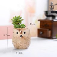 6-Piece Mini Owl Ceramic Succulent Planter Pots - Image 4