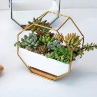 Geometric Ceramic Wall Planter with Octagonal Iron Frame - Image 23