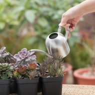 Gooseneck Dome Stainless Steel Watering Can - Image 5