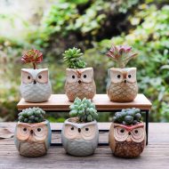 6-Piece Mini Owl Ceramic Succulent Planter Pots - Image 2