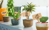 Blank Wooden Plant Label Signs - Image 10