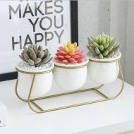 White Ceramic Succulent Planter Trio with Metal Sleigh Stand - Image 3