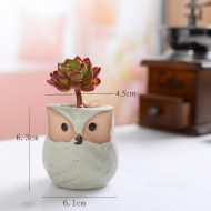 6-Piece Mini Owl Ceramic Succulent Planter Pots - Image 5