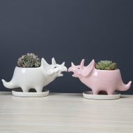 Cute Dinosaur Succulent Planter Pot with Drainage Tray - Image 2