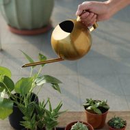 Spherical Gooseneck Stainless Steel Watering Can - Image 12