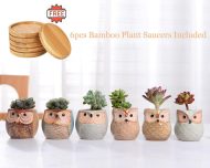 6-Piece Mini Owl Ceramic Succulent Planter Pots - Image 3