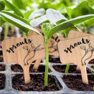Blank Wooden Plant Label Signs - Image 2