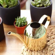 Gooseneck Dome Stainless Steel Watering Can - Image 8