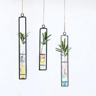 Hanging Iron Propagation Terrarium Vases - Image 3