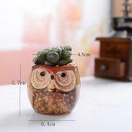 6-Piece Mini Owl Ceramic Succulent Planter Pots - Image 6