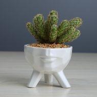 2-Piece White Ceramic Face Succulent Planters - Image 4