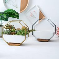 Geometric Ceramic Wall Planter with Octagonal Iron Frame - Image 8