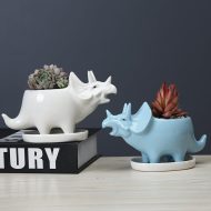 Cute Dinosaur Succulent Planter Pot with Drainage Tray - Image 3
