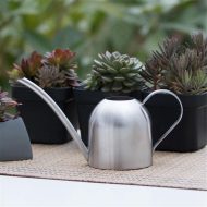Gooseneck Dome Stainless Steel Watering Can - Image 4