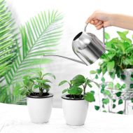 Gooseneck Dome Stainless Steel Watering Can - Image 6