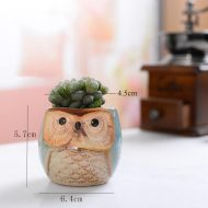 6-Piece Mini Owl Ceramic Succulent Planter Pots - Image 7