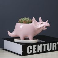 Cute Dinosaur Succulent Planter Pot with Drainage Tray - Image 5