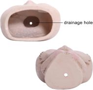 Blushing Face Planter - Image 13