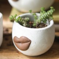 Lip Planter - Image 4