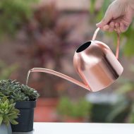 Gooseneck Dome Stainless Steel Watering Can - Image 9