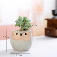 6-Piece Mini Owl Ceramic Succulent Planter Pots - Image 8