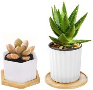 Natural Bamboo Planter Saucer Trays - Image 11