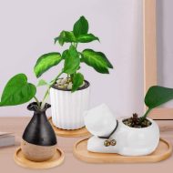 Natural Bamboo Planter Saucer Trays - Image 7