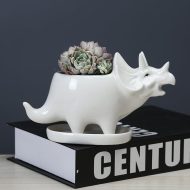 Cute Dinosaur Succulent Planter Pot with Drainage Tray - Image 9