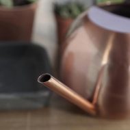 Spherical Gooseneck Stainless Steel Watering Can - Image 28
