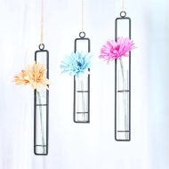 Hanging Iron Propagation Terrarium Vases - Image 5