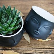 Multi-Face Succulent Planter - Image 9