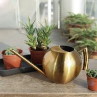 Spherical Gooseneck Stainless Steel Watering Can - Image 4