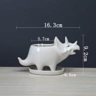 Cute Dinosaur Succulent Planter Pot with Drainage Tray - Image 10